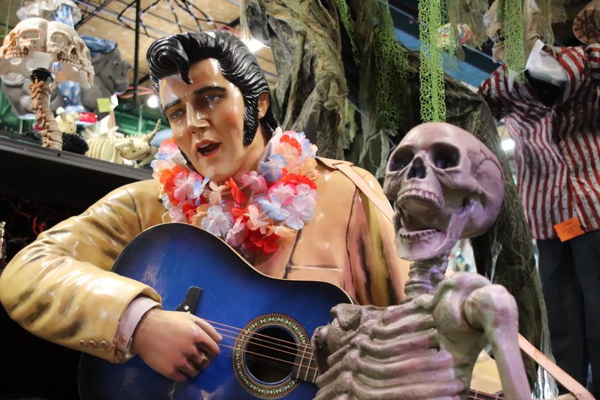 Elvis strums beside a skeletal fan.